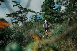 BIB: 
                            <button type="button" onclick="openModal(25258043)" class="btn btn-primary btn-sm float-right btn-popup" data-toggle="modal" data-target=".modal-high-quality">
                        <i class="fas fa-shopping-cart"></i> Add to Cart
                    </button>
                                            <button type="button" onclick="isThisMe(25258043, true)" class="btn btn-success btn-sm float-right btn-popup btn-isme hidden" data-toggle="tooltip" data-placement="bottom" title="นี่คือรูปของคุณใช่ไหม คลิกที่นี่เพื่อเอาเข้าอัลบั้ม">
                        <i class="fas fa-plus"></i> Add to album
                    </button>
                    <button type="button" onclick="isThisMe(25258043, false)" class="btn btn-warning btn-sm float-right btn-popup btn-isnotme hidden">
                        <i class="fas fa-ban"></i> Remove from album
                    </button>